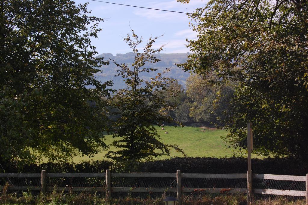 Llansabbath Country House B&B Abergavenny Bagian luar foto